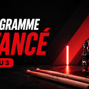 3. Programme Avancé (Niveau 3)